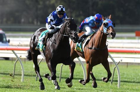 2022 Railway Stakes: Final Field, Barriers and Market .